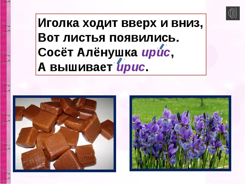 Ирис ударение. Ирис цветок ударение. Ирис Ирис ударение. Ирис конфета ударение.