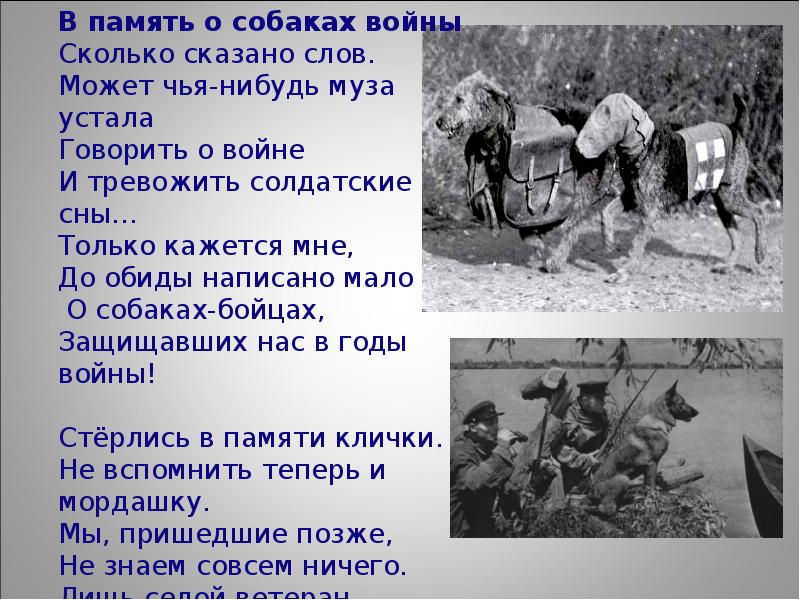 Спорт во время войны 1941 1945 презентация