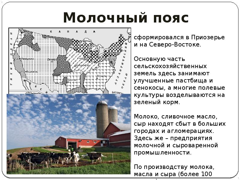 Главные сельскохозяйственные районы сша. Сельскохозяйственные районы США молочный пояс. Сельское хозяйство США молочный пояс. Сельскохозяйственные пояса США. Молочный пояс США штаты.