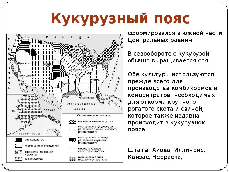 Хозяйство сша презентация по географии 11 класс