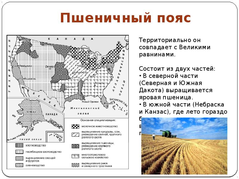 Географический рисунок хозяйства сша реферат