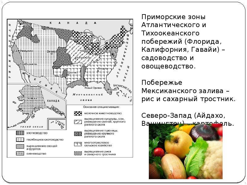 По рисунку 90 опишите размещение растениеводства сша