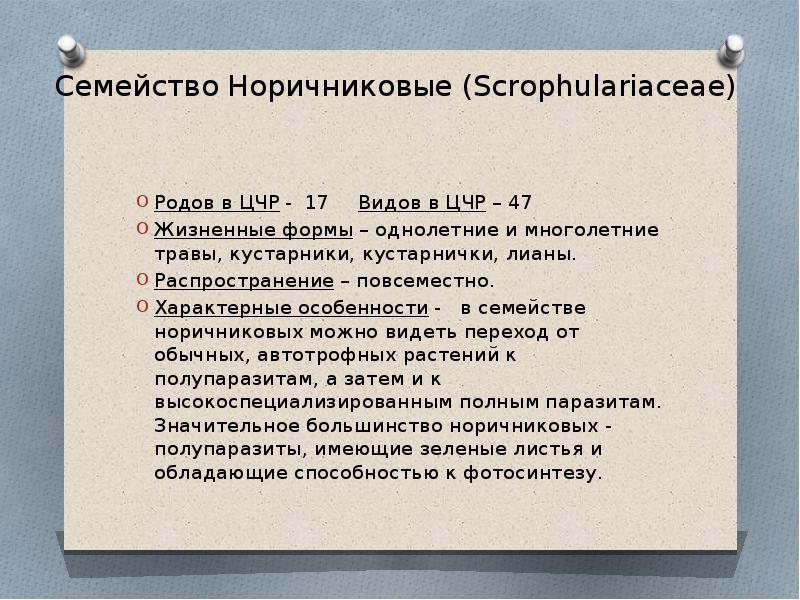 Семейство норичниковые презентация