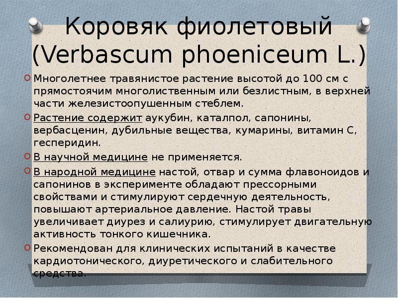 41 значение. 41 значение