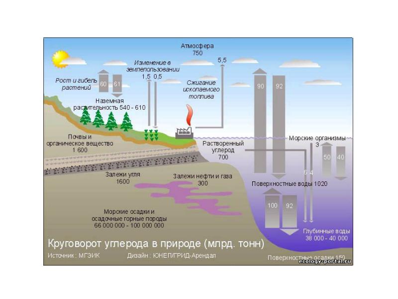 Устойчивое развитие презентация