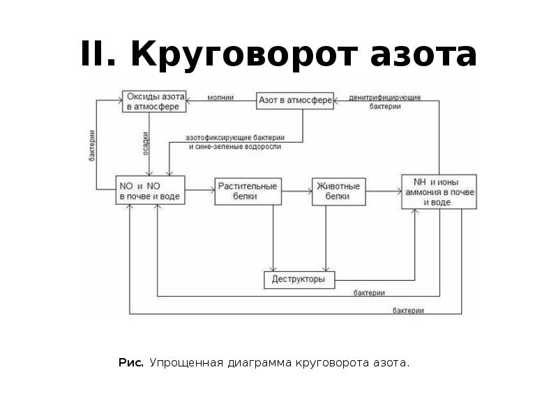 Устойчивое развитие презентация