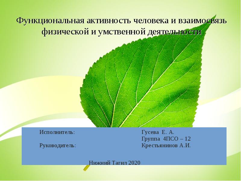 Функциональная активность человека и взаимосвязь физической и умственной деятельности презентация