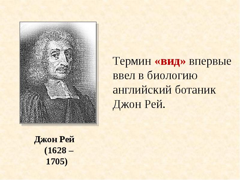 Впервые виду. Джон Рей вклад в биологию. Термин вид в биологии ввел. Виды терминов. Английский ботаник Рей.