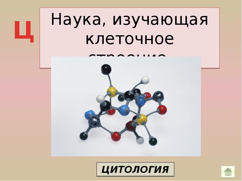 Какая наука изучает рост клетки. Наука изучающая клетку.