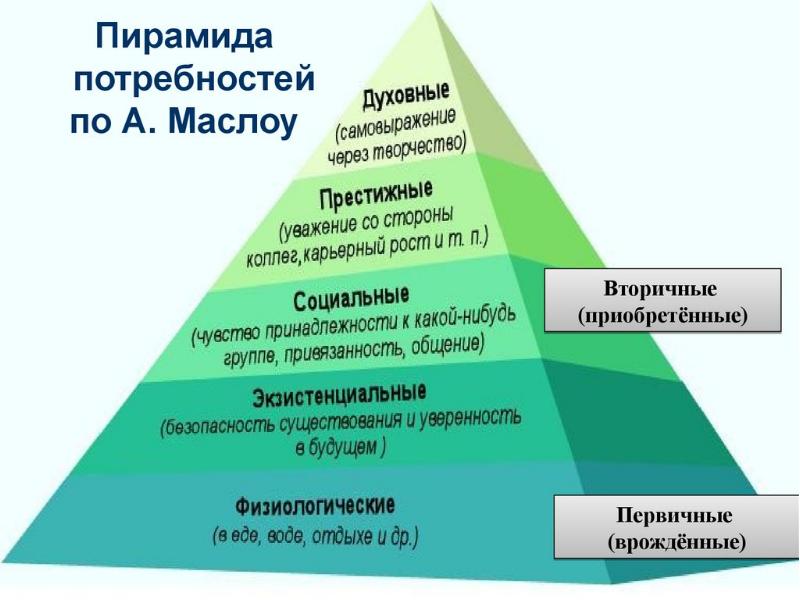 Высшие психические функции картинки