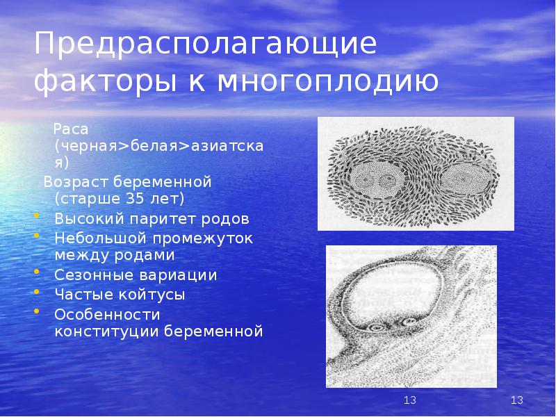 Паритет родов. Высокий Паритет беременности. Высокий Паритет в акушерстве это. Поликаулония многоплодная. Многоплодная беременность презентация.