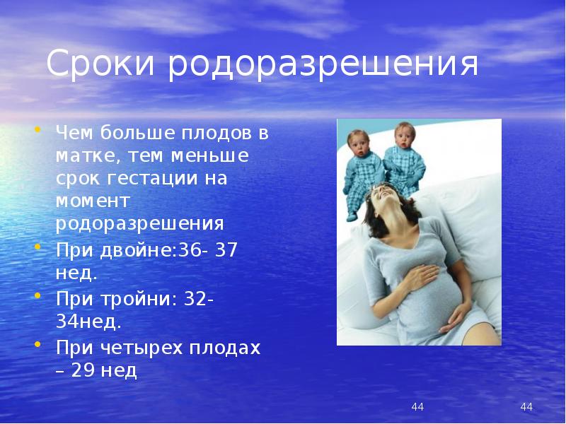 Сроки родоразрешения
Чем больше плодов в матке, тем меньше срок гестации Сроки родоразрешения
Чем больше плодов в матке, тем меньше срок гестации