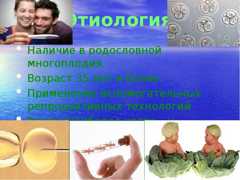Наличие в родословной многоплодия.
Наличие в родословной многоплодия.
Возраст 35 лет Наличие в родословной многоплодия.
Наличие в родословной многоплодия.
Возраст 35 лет