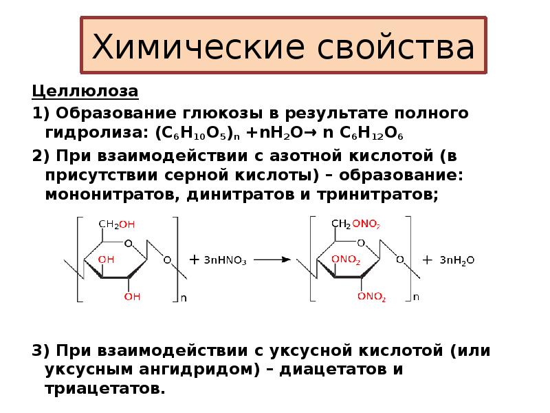 Образование глюкозы