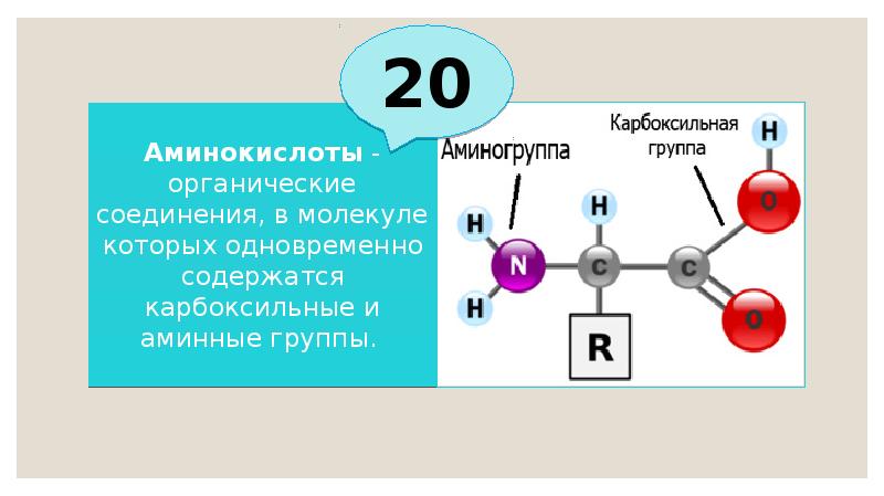 Аминокислоты - органические соединения, в молекуле которых одновременно содержатся карбоксильные и Аминокислоты - органические соединения, в молекуле которых одновременно содержатся карбоксильные и
