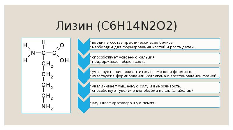 Незаменимые аминокислоты презентация