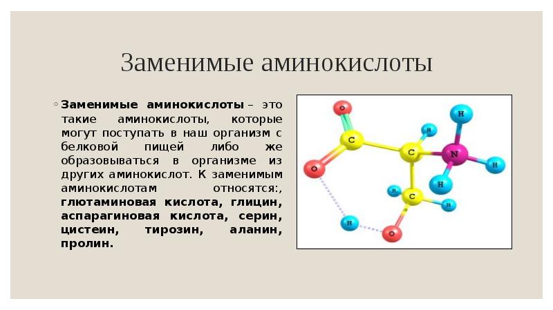 Заменимые аминокислоты презентация