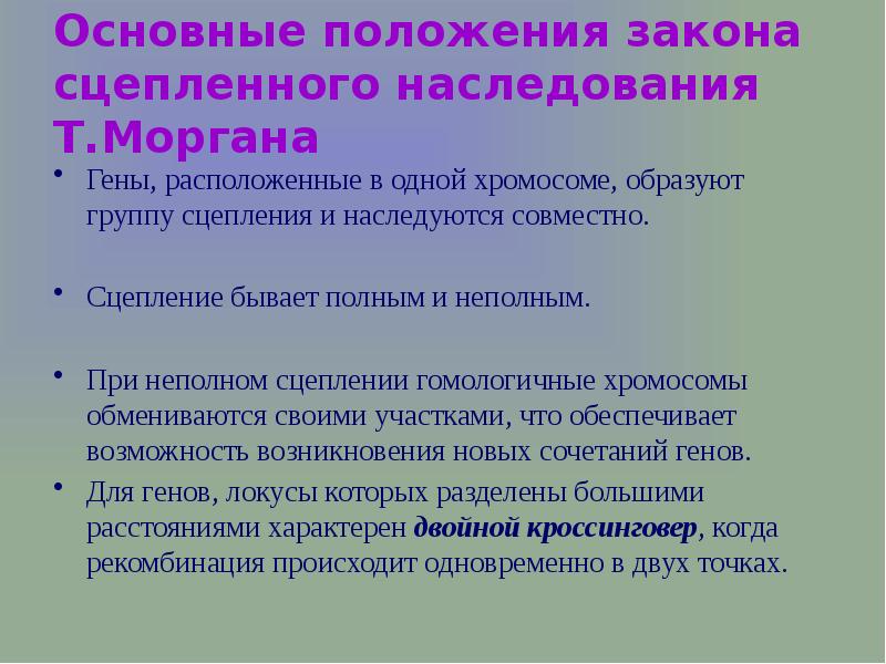 Презентация сцепленное наследование генов 10 класс презентация