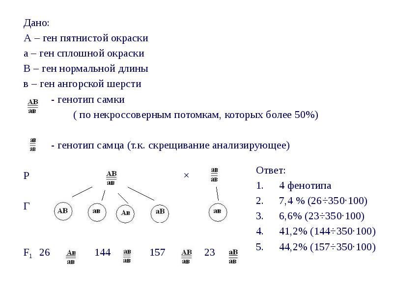 Геном презентация 10 класс