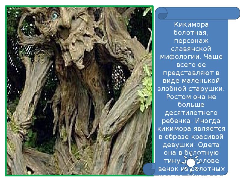 Песня кикиморы. Кикимора Болотная презентация. Кикимора в славянской мифологии сообщение. Существует ли Кикимора на самом деле. Где живет Кикимора.