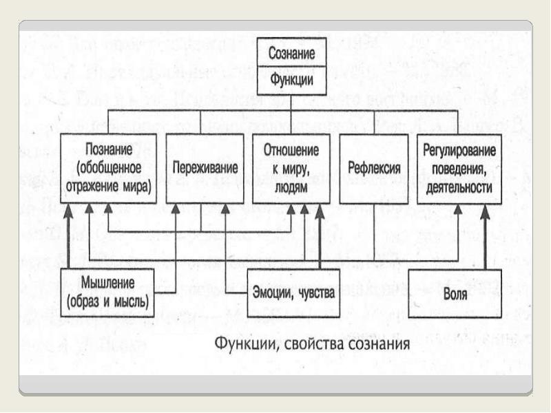 Функции познания. Историческое развитие психики и сознания человека. Стадии исторического развития психики и сознания. «Происхождение и развитие психики» схема. Этапы развития сознания в психологии.