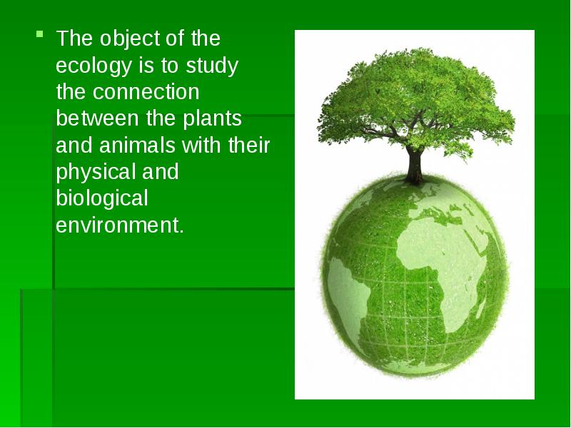Экология презентация на английском