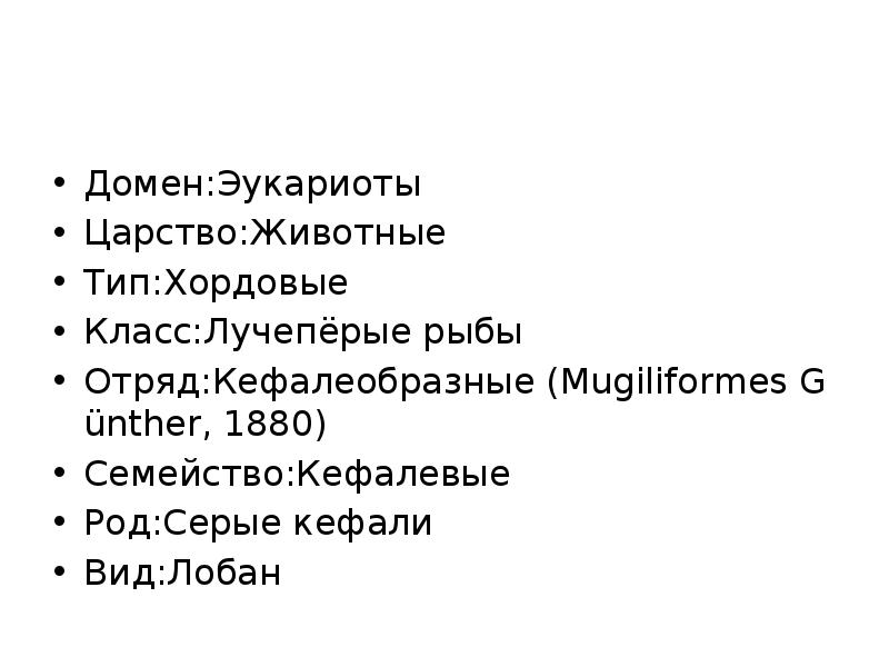 Домен:Эукариоты Царство:Животные Тип:Хордовые Класс:Лучепёрые рыбы Отряд:Кефалеобразные&nbsp;(Mugiliformes&nbsp;Günther, 1880) Семейство:Кефалевые Род:Серые кефали Вид:Лобан
