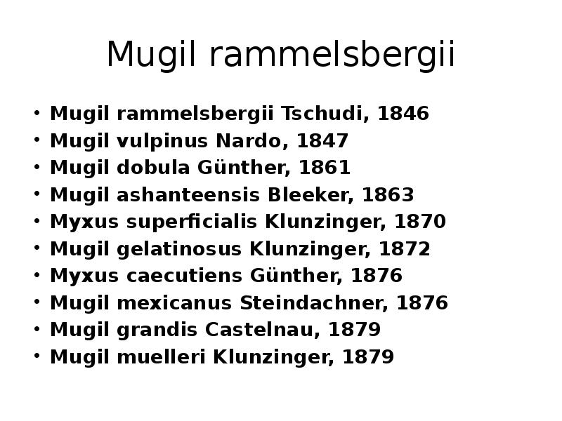 Mugil rammelsbergii Mugil rammelsbergii&nbsp;Tschudi, 1846 Mugil vulpinus&nbsp;Nardo, 1847 Mugil dobula&nbsp;Günther, 1861
