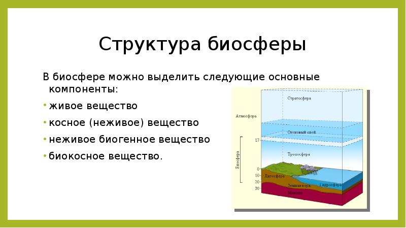 Элементы биосферы. Биосфера строение границы состав биосферы. Структура и функции биосферы, ее границы.. Структура вещество границы биосферы. Состав строение и границы биосферы кратко.