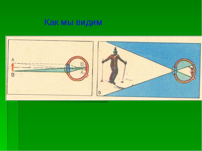 Какой мы видим. Как мы видим. Как мы видим физика. Как мы видим различные предметы. Видим перевернутое изображение.