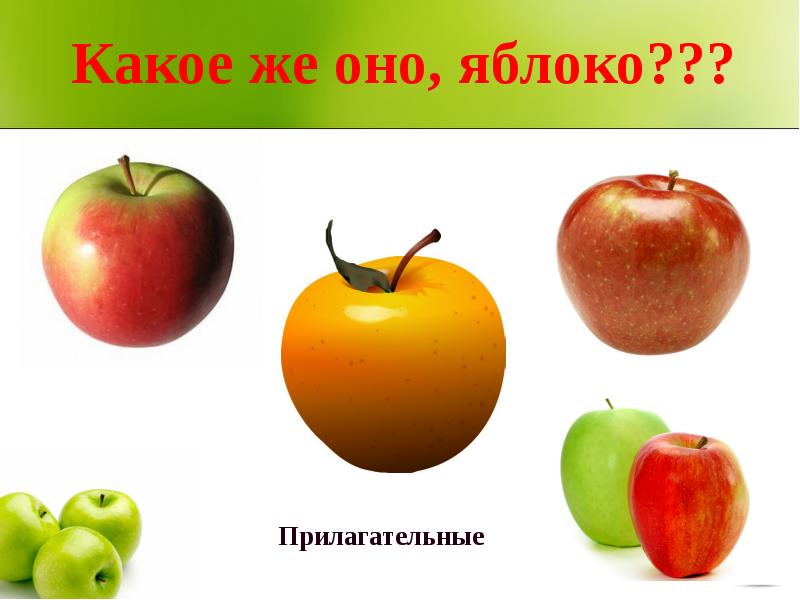 Яблоко бывает. Какие бывают яблоки. Какого цвета бывают яблоки. Яблоки по форме бывают.