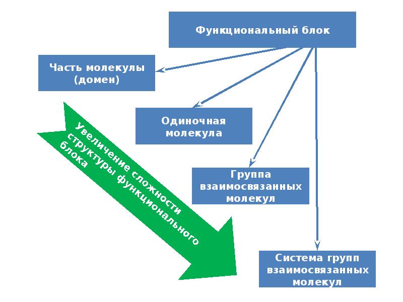 Из каких блоков состоит