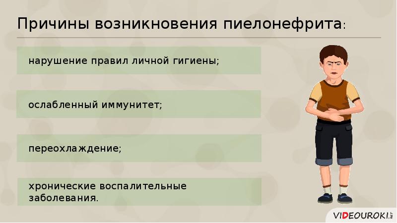 Презентация по теме заболевания мочевыделительной системы