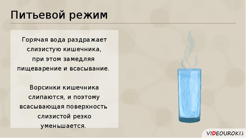 Предупреждение заболевания почек питьевой режим презентация