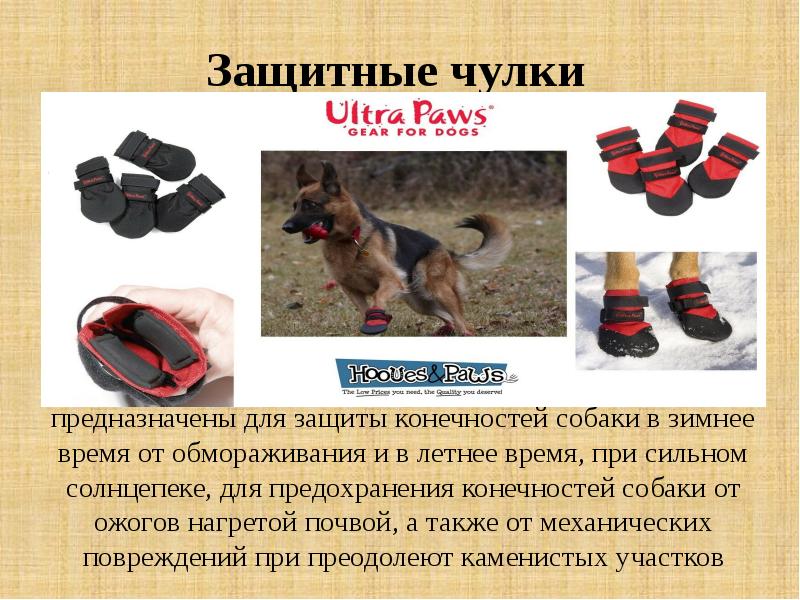 Инвентарь и специальное снаряжение