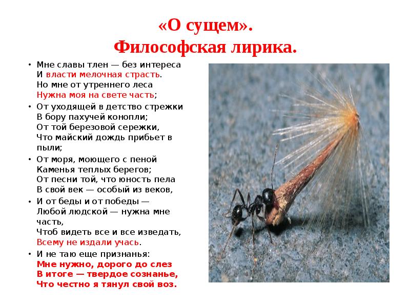 «О сущем». Философская лирика.
Мне славы тлен — без интереса И «О сущем». Философская лирика.
Мне славы тлен — без интереса И