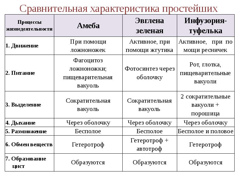 Пользуясь материалом параграфа составьте план ответа по теме общая характеристика простейших