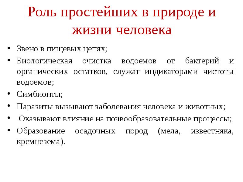 Роль простейших в жизни. Роль простейших в природе. Роль простейших в природе и жизни человека. Роль простейших в жизни человека. Роль простейших животных в природе.