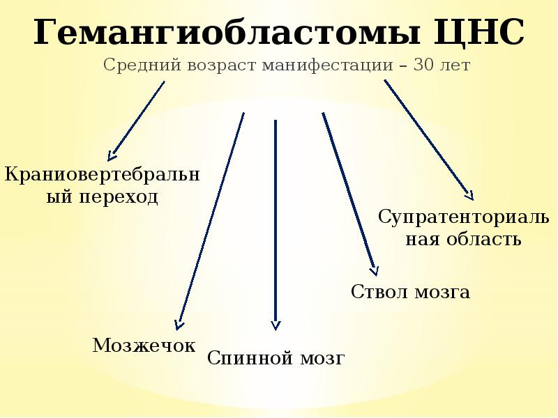 Средний возраст манифестации – 30 лет
Средний возраст манифестации – 30 Средний возраст манифестации – 30 лет
Средний возраст манифестации – 30