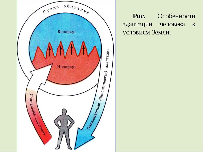 Адаптация человека это. Адаптация организма человека. Адаптация человека к экстремальным условиям. Адаптация человека презентация. Адаптация организма картинки.