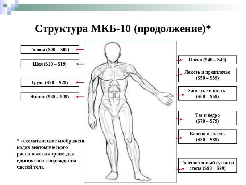 Ранение мкб. Мкб 10 травма. Мкб 10 s. Структура мкб.