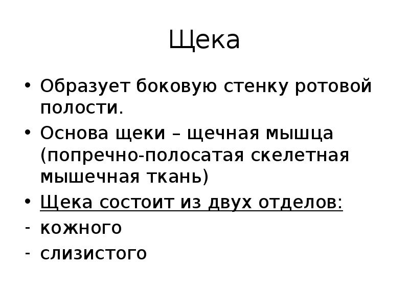 Что образуют боковые стенки полости рта