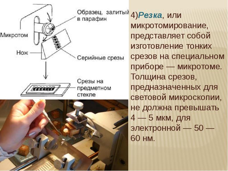 изготовление срезов гистология. криостат микротом. микротом для световой микроскопии. микротомия. ротационный микротом гистология leica.