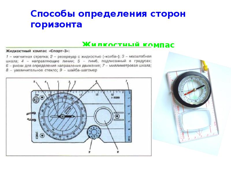 Компас предохранитель корпус магнитная стрелка. Жидкостный компас спорт-3. Жидкостный компас спорт-3 строение. Строение жидкостного компаса. Строение компаса спортивного жидкостного.