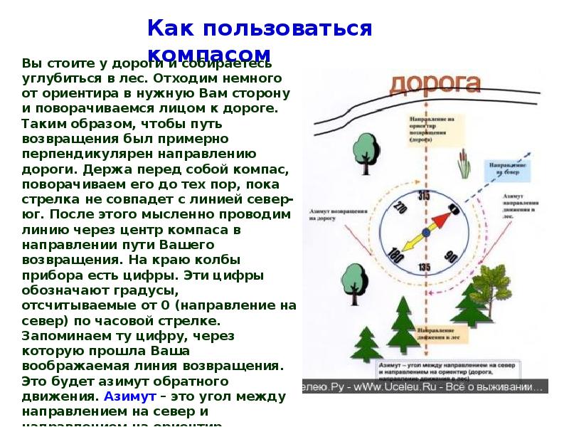 Дополните схему об основных способах определения сторон света на местности