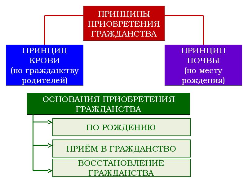 Гражданство рф презентация 10 класс обществознание