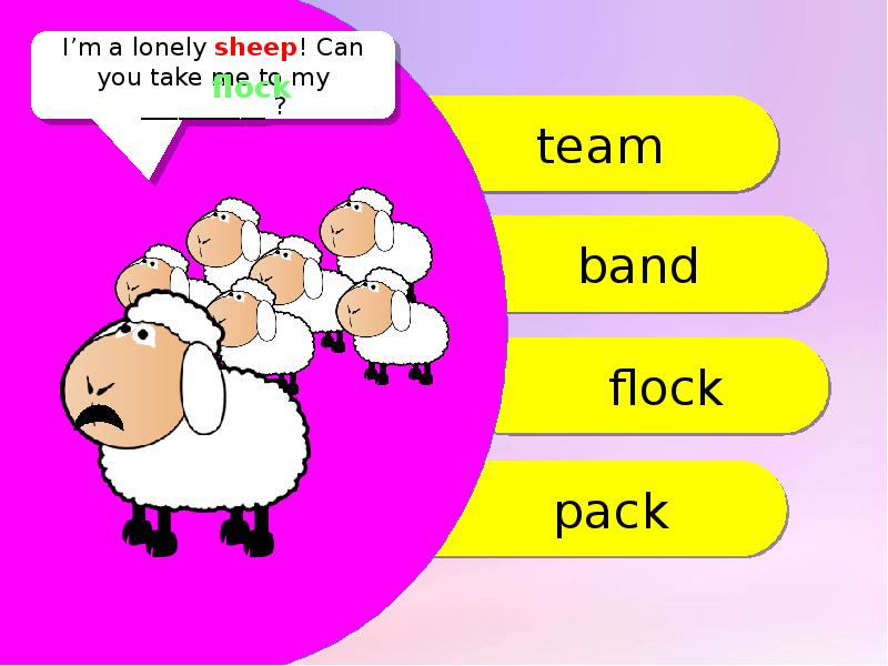 Sheep can swim. Teacher Switcher. Teacher Switcher презентации. Sheep перевод. Teacher Switcher чтение.