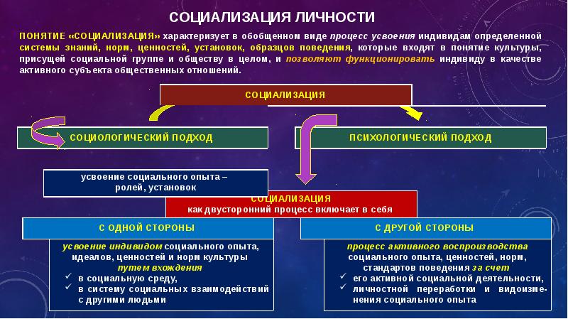 Автором проекта социализации земли был