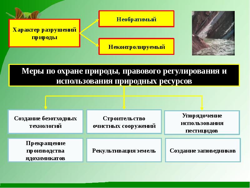 Охрана природы презентация 7 класс. Функции человека в природе. Народная форма охраны природы. Меры по охране природы в Австралии.