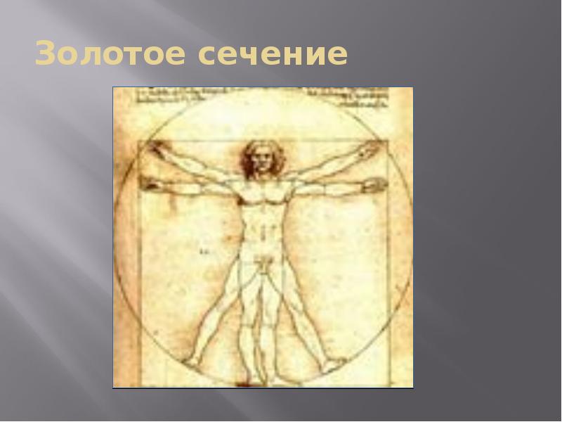 Золотое сечение